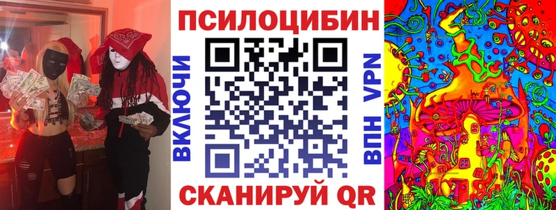 Псилоцибиновые грибы мицелий  блэк спрут вход  Змеиногорск 